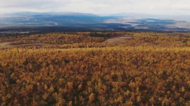 Abisko Milli Parkı, Kiruna Belediyesi, Laponya, Norrbotten İlçesi, İsveç, Abiskojokk Nehri, karayolu ve Nuolja Dağı 'nın sonbahar manzarası Finlandiya, İsveç ve Norveç sınırına yakındır. 