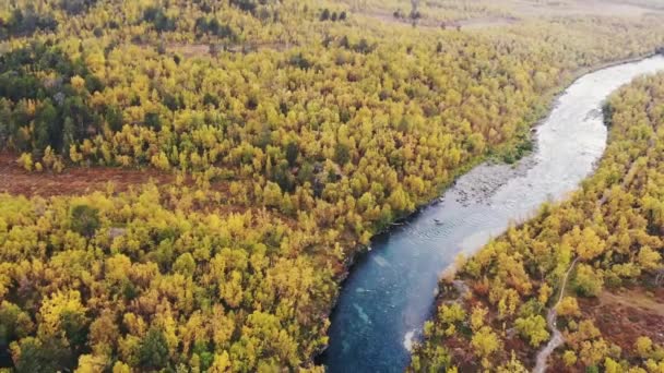 フィンランド スウェーデン ノルウェーの国境近くのアビスコ国立公園 キルナ市 ラップランド ノルボテン郡 スウェーデン アビスコジョク川 ヌオルジャ山の晴れた秋の景色 — ストック動画
