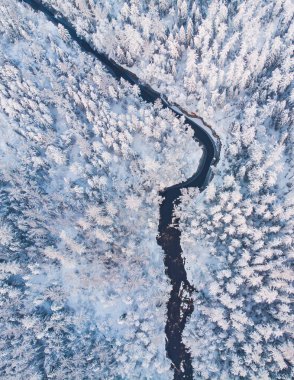 Winter snowy aerial landscape of forest with the river, Lapland, Finland clipart