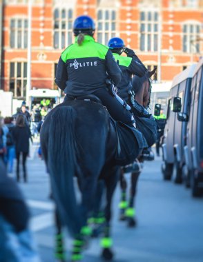 Hollanda polisi düzeni ve atlı polis biniciliği üniforma üzerinde 