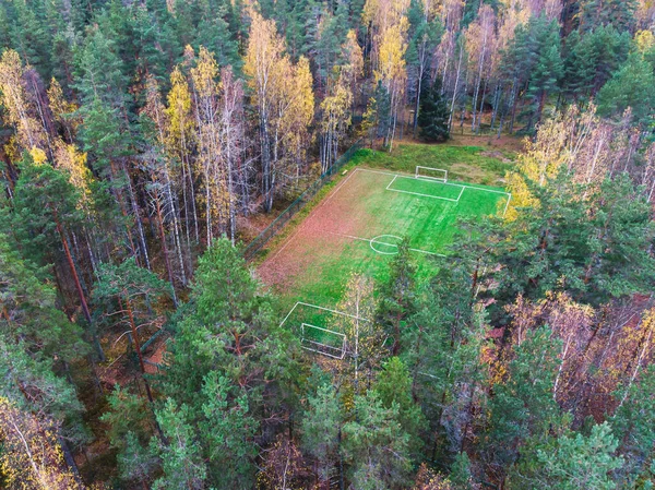 Aerial Drone View Football Soccer Pitch Field Green Grass Fall — Stok fotoğraf