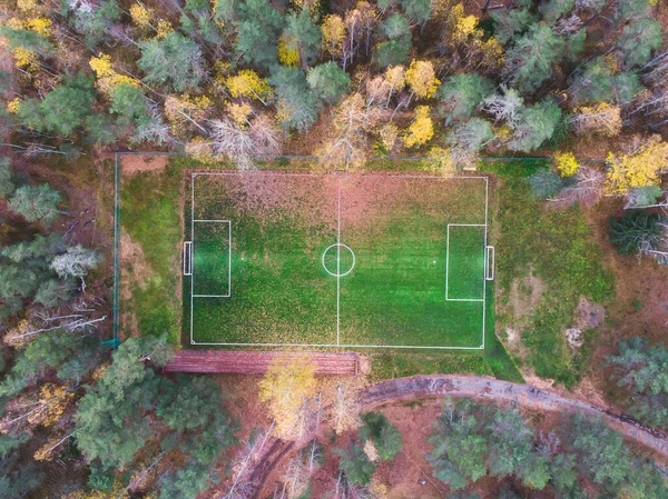 Luftbild Drohne Fußballfeld Grünes Gras Herbst Lebendige Spielfeld Mit Gefallenen — Stockfoto