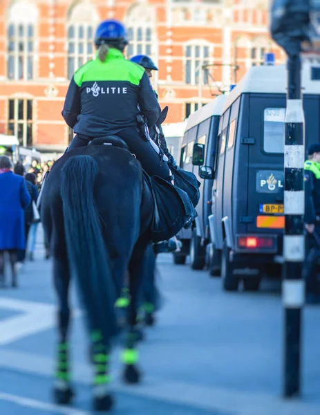 Niederländische Polizeitruppenbildung Und Berittene Polizei Rückansicht Mit Polizei Logo Auf — Stockfoto