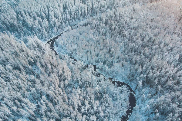 Winter Snowy Aerial Landscape Forest River Lapland Finland — Stock Photo, Image