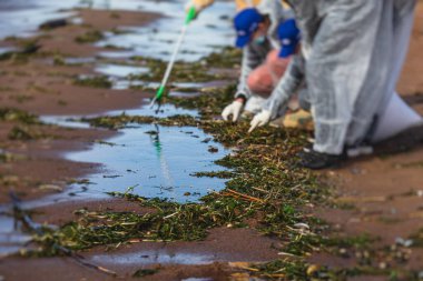 Kıyı sahil şeridini çöp tenekelerinden temizleme süreci, bir grup çevreci gönüllü petrol ürünleri sızıntısını, plastik atıkları ve çöplükleri temizleme, ekolojik sorunlar