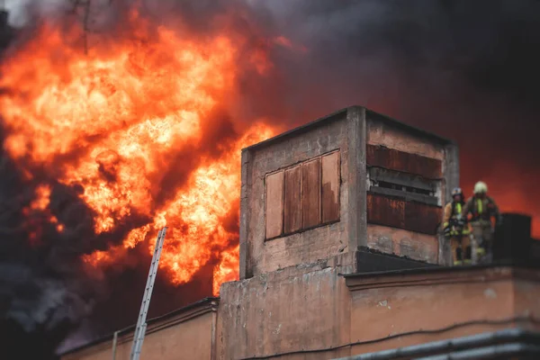 Firefighters Put Out Large Massive Fire Blaze Group Fire Men — Stock Photo, Image