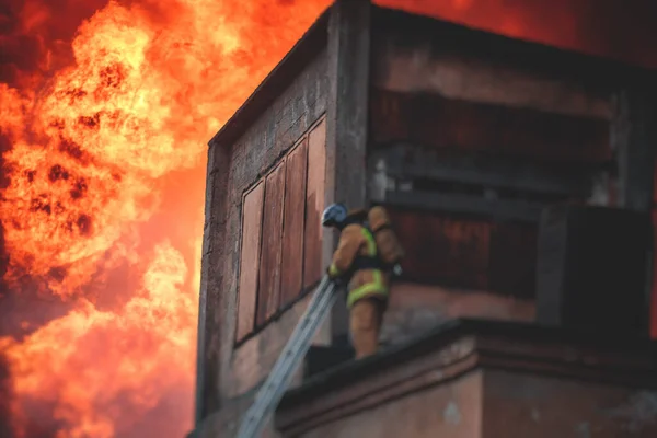 Feuerwehr Löscht Großbrand Gruppe Von Feuerwehrmännern Uniform Bei Löscheinsatz Den — Stockfoto