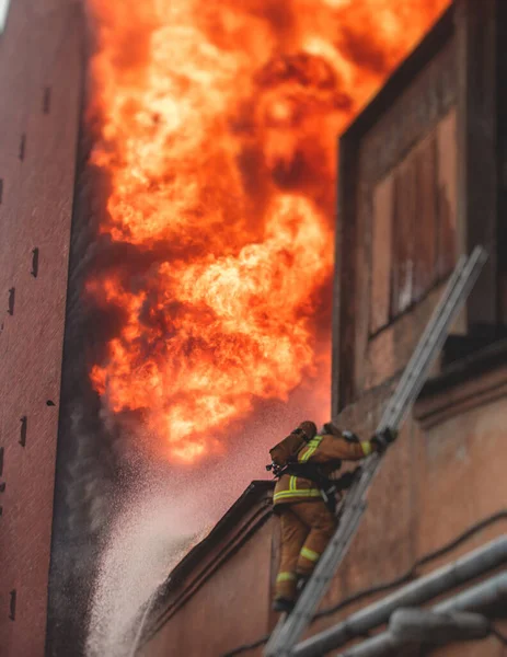 Firefighters put out large massive fire blaze, group of fire men in uniform during fire fighting operation in the city streets, firefighters with fire engine truck fighting vehicle