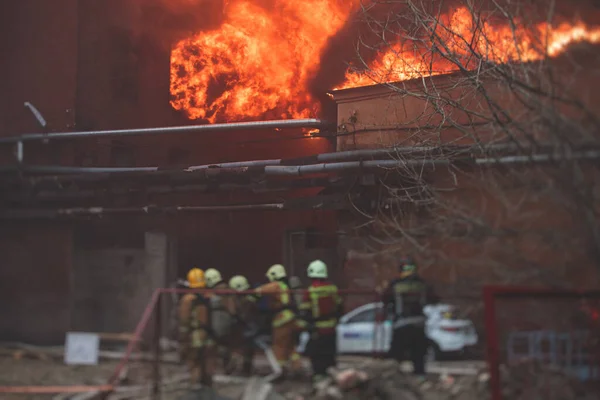 Firefighters Put Out Large Massive Fire Blaze Group Fire Men — Stock Photo, Image