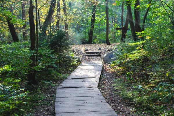 Eco Path Wooden Walkway Komarovo Shore Komarovsky Bereg Natural Monument — Stock Photo, Image