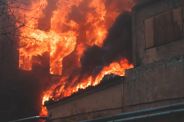 Massive large blaze fire in the city, brick factory building on fire, hell major fire explosion flame blast,  with firefighters team firemen on duty, arson, burning house destruction