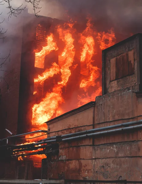 Massive large blaze fire in the city, brick factory building on fire, hell major fire explosion flame blast,  with firefighters team firemen on duty, arson, burning house destruction