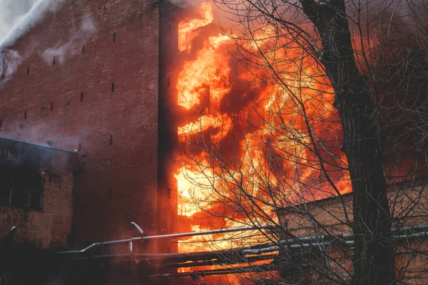 Massive large blaze fire in the city, brick factory building on fire, hell major fire explosion flame blast,  with firefighters team firemen on duty, arson, burning house destruction