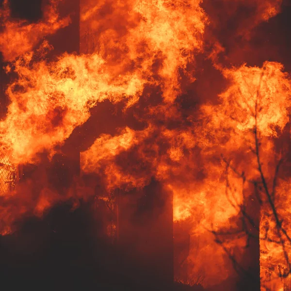 Grandes Incendios Forestales Incendios Forestales Incendios Forestales Con Árboles Llamas —  Fotos de Stock