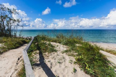 Curonian salyası, Kurshskaya Kosa Ulusal Parkı, Curonian Gölü ve Baltık Denizi, Kaliningrad Oblastı, Rusya ve Klaipeda İlçesi, Litvanya Yazı,