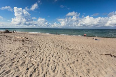 Curonian salyası, Kurshskaya Kosa Ulusal Parkı, Curonian Gölü ve Baltık Denizi, Kaliningrad Oblastı, Rusya ve Klaipeda İlçesi, Litvanya Yazı,
