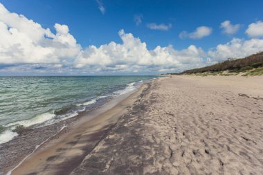 Curonian salyası, Kurshskaya Kosa Ulusal Parkı, Curonian Gölü ve Baltık Denizi, Kaliningrad Oblastı, Rusya ve Klaipeda İlçesi, Litvanya Yazı,