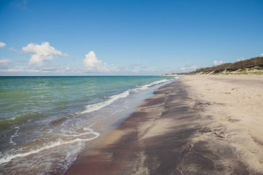 Curonian salyası, Kurshskaya Kosa Ulusal Parkı, Curonian Gölü ve Baltık Denizi, Kaliningrad Oblastı, Rusya ve Klaipeda İlçesi, Litvanya Yazı,