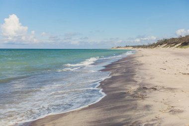 Curonian salyası, Kurshskaya Kosa Ulusal Parkı, Curonian Gölü ve Baltık Denizi, Kaliningrad Oblastı, Rusya ve Klaipeda İlçesi, Litvanya Yazı,