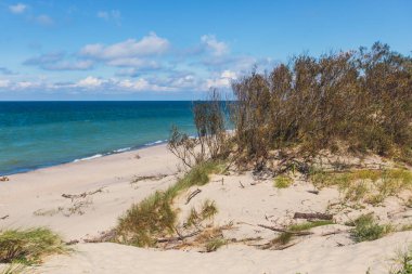Curonian salyası, Kurshskaya Kosa Ulusal Parkı, Curonian Gölü ve Baltık Denizi, Kaliningrad Oblastı, Rusya ve Klaipeda İlçesi, Litvanya Yazı,