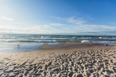 Curonian salyası, Kurshskaya Kosa Ulusal Parkı, Curonian Gölü ve Baltık Denizi, Kaliningrad Oblastı, Rusya ve Klaipeda İlçesi, Litvanya Yazı,