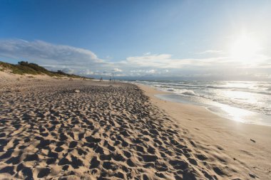 Curonian salyası, Kurshskaya Kosa Ulusal Parkı, Curonian Gölü ve Baltık Denizi, Kaliningrad Oblastı, Rusya ve Klaipeda İlçesi, Litvanya Yazı,