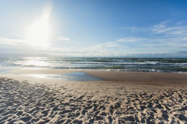 Curonian salyası, Kurshskaya Kosa Ulusal Parkı, Curonian Gölü ve Baltık Denizi, Kaliningrad Oblastı, Rusya ve Klaipeda İlçesi, Litvanya Yazı,