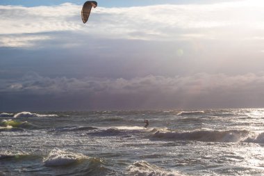 Curonian salyası, Kurshskaya Kosa Ulusal Parkı, Curonian Gölü ve Baltık Denizi, Kaliningrad Oblastı, Rusya ve Klaipeda İlçesi, Litvanya Yazı,