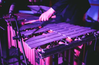 Ksilofon konser görüntüsü vibratör marimba çalar, tokmaklar davul sopaları, arka planda Latin orkestra müzik grubu sahne alacak.