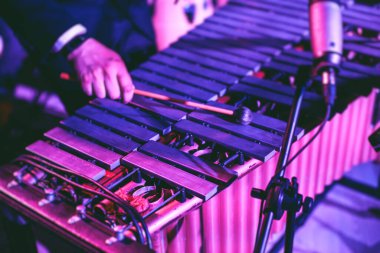 Ksilofon konser görüntüsü vibratör marimba çalar, tokmaklar davul sopaları, arka planda Latin orkestra müzik grubu sahne alacak.