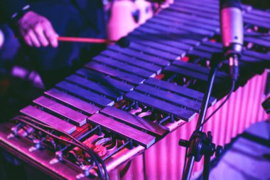 Ksilofon konser görüntüsü vibratör marimba çalar, tokmaklar davul sopaları, arka planda Latin orkestra müzik grubu sahne alacak.