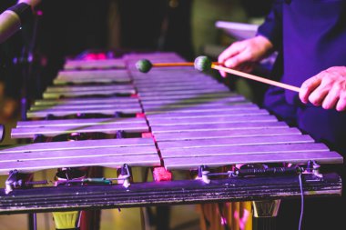 Ksilofon konser görüntüsü vibratör marimba çalar, tokmaklar davul sopaları, arka planda Latin orkestra müzik grubu sahne alacak.