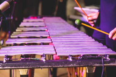 Ksilofon konser görüntüsü vibratör marimba çalar, tokmaklar davul sopaları, arka planda Latin orkestra müzik grubu sahne alacak.
