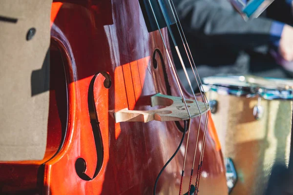Concertzicht Van Een Contrabas Violoncellospeler Met Zanger Muzikale Band Tijdens — Stockfoto