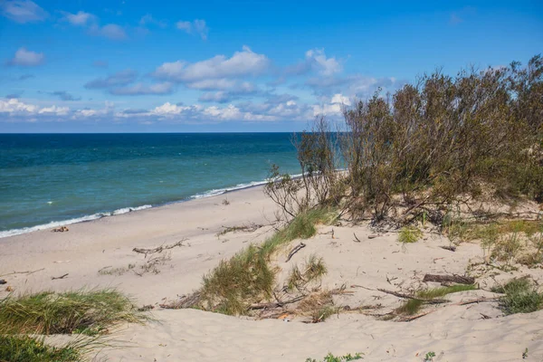 Kurische Nehrung Wunderschöne Aussicht Auf Den Kurshskaya Kosa Nationalpark Das — Stockfoto