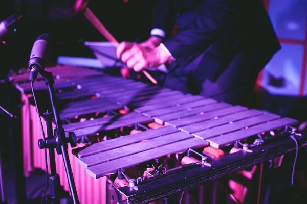 Xilofon Koncert Kilátás Vibrafon Marimba Játékos Ütős Dobverők Latin Zenekar — Stock Fotó