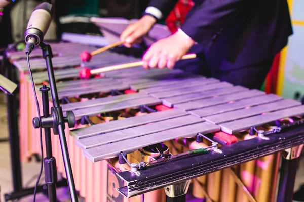 Xilofon Koncert Kilátás Vibrafon Marimba Játékos Ütős Dobverők Latin Zenekar — Stock Fotó