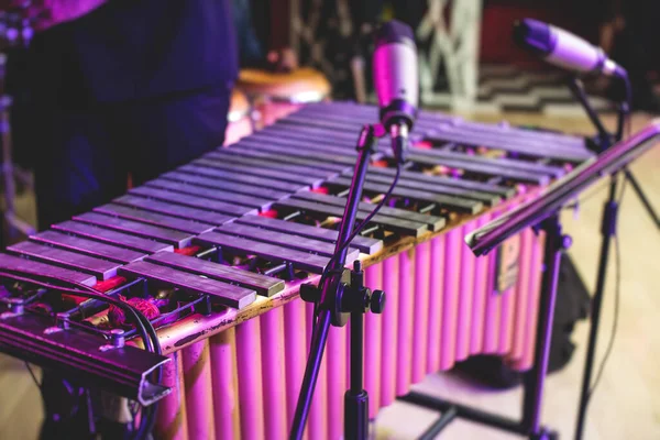 Xylophon Konzert Ansicht Des Vibraphon Marimbaphon Spieler Schlägel Schlagzeug Sticks — Stockfoto