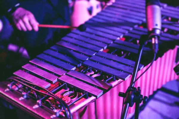 Xylophon Konzert Ansicht Des Vibraphon Marimbaphon Spieler Schlägel Schlagzeug Sticks — Stockfoto