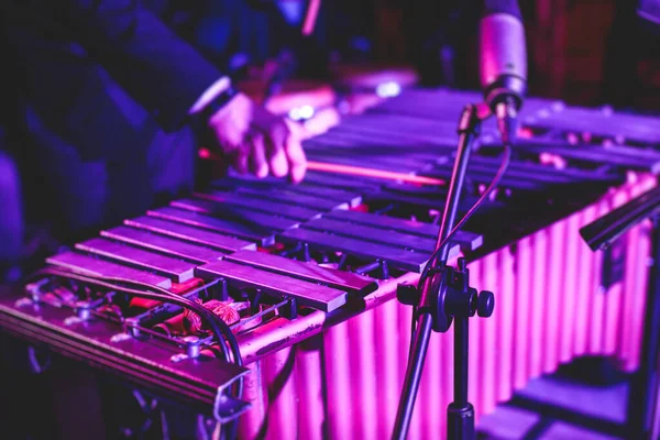 Ksilofon Konser Görüntüsü Vibratör Marimba Çalar Tokmaklar Davul Sopaları Arka — Stok fotoğraf