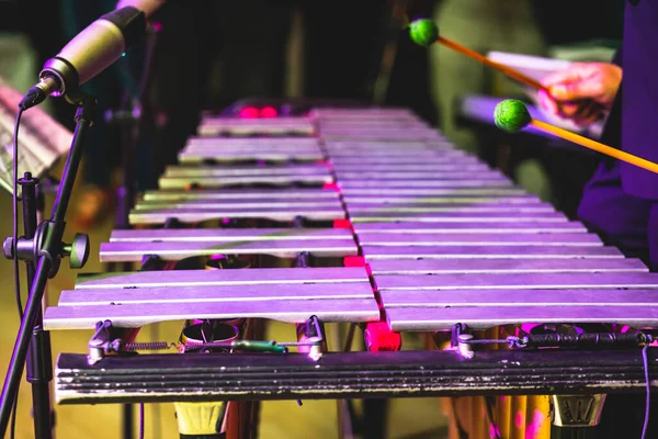 Xilofon Koncert Kilátás Vibrafon Marimba Játékos Ütős Dobverők Latin Zenekar — Stock Fotó