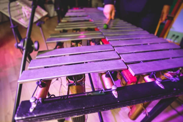 Xilofon Koncert Kilátás Vibrafon Marimba Játékos Ütős Dobverők Latin Zenekar — Stock Fotó