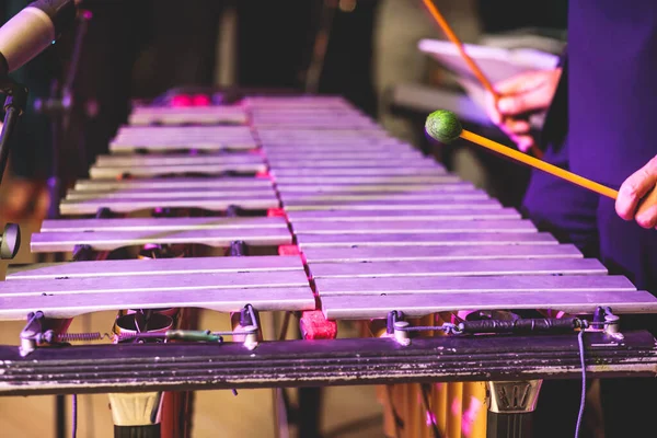 Xylophon Konzert Ansicht Des Vibraphon Marimbaphon Spieler Schlägel Schlagzeug Sticks — Stockfoto