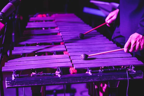 Xylophone concert view of vibraphone marimba player, mallets drum sticks, with latin orchestra musical band performing in the background