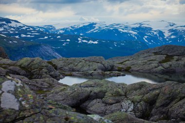 İzlanda at üzerinde bir çayır yakınındaki bir ünlü turistik yer - lake Myvatn Kuzey İzlanda'daki güzel manzara