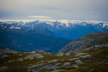 İzlanda at üzerinde bir çayır yakınındaki bir ünlü turistik yer - lake Myvatn Kuzey İzlanda'daki güzel manzara