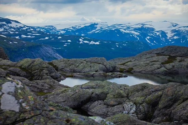 İzlanda at üzerinde bir çayır yakınındaki bir ünlü turistik yer - lake Myvatn Kuzey İzlanda'daki güzel manzara