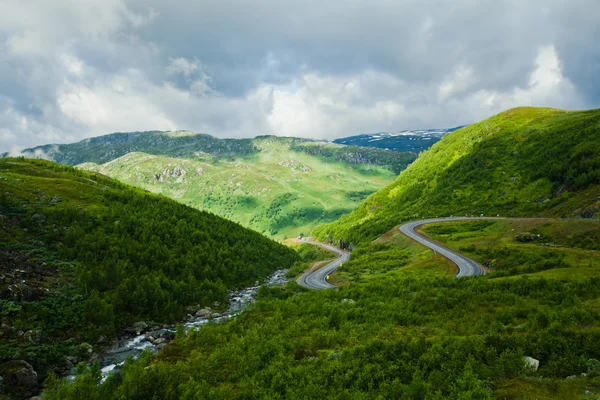 Islandshästar på en äng nära vackra landskapet i en berömda turist plats - sjön Myvatn på Island i norr — Stockfoto