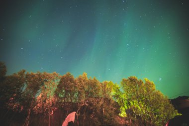 Büyük alacalı güzel resmini canlı Aurora Borealis, Aurora Polaris, Ayrıca biliyorum Kuzey ışıkları gece gökyüzünde olarak Norveç, Lofoten Adaları