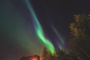Beautiful picture of massive multicoloured vibrant Aurora Borealis, Aurora Polaris, also know as Northern Lights in the night sky over Norway, Lofoten Islands clipart